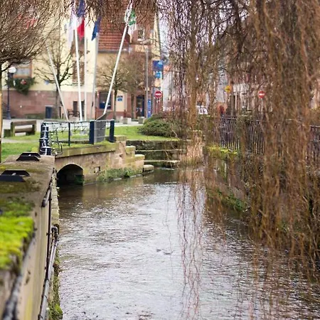 Meuble Tout Confort, Avec Terrasse Niederbronn-les-Bains Exterior foto