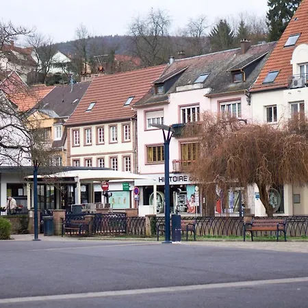 Meuble Tout Confort, Avec Terrasse Niederbronn-les-Bains Exterior foto
